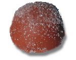 G�ttliche