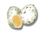 Kiebitz Eier Kiebitz Eier