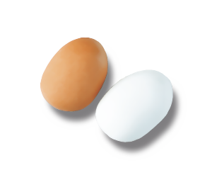 Land Eier